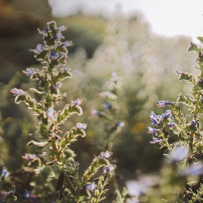 Kochan und Partner Case Gertraud Gruber Kosmetik