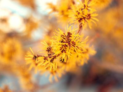 Kochan und Partner Case Gertraud Gruber Kosmetik