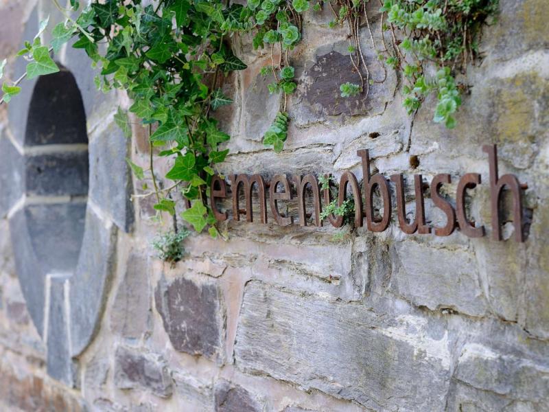 Clemens Busch in Rost