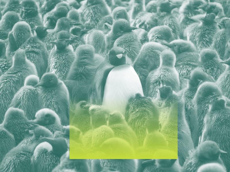 Kochan und Partner – Insight Differenzierung