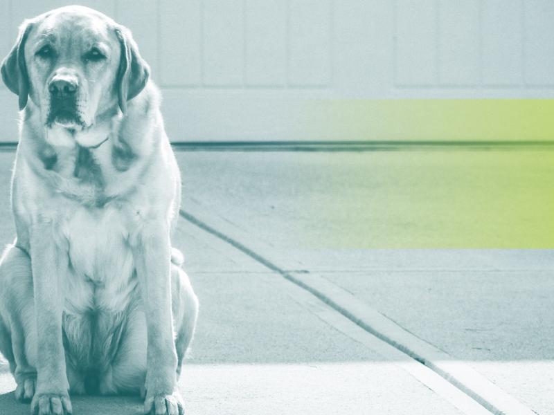 insights preaching to be converted