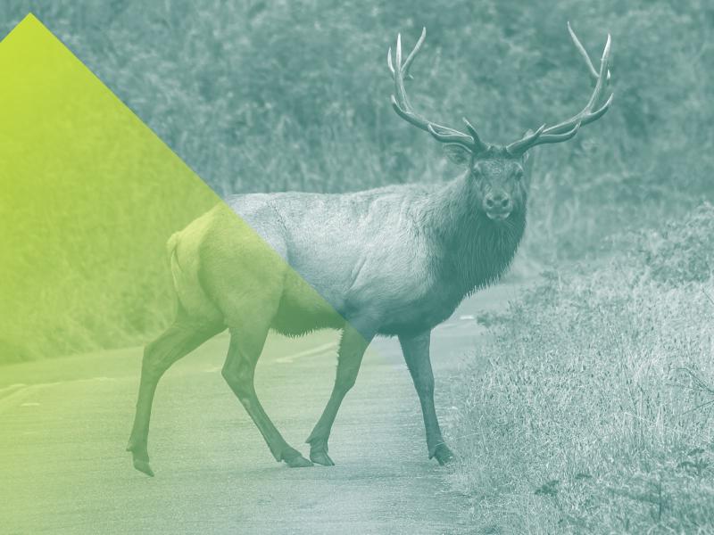 Kochan und Partner Insight - Marketing in der Rezession